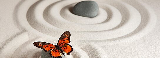 Schmetterling in einem Zengarten